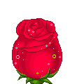 roses en folie